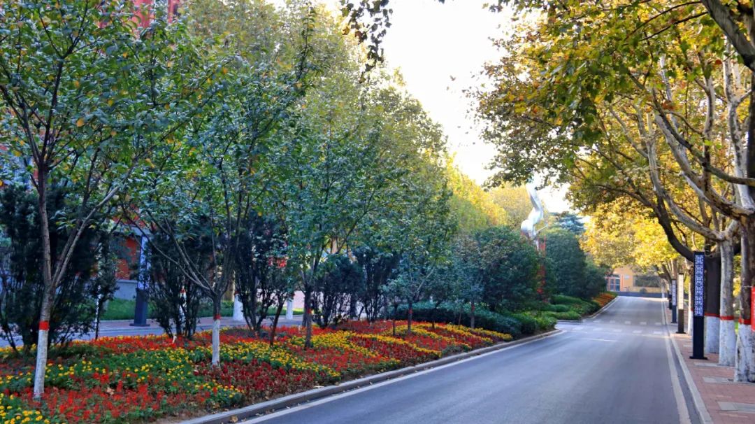 冬日的鋼城生機(jī)盎然 狀態(tài)“滿格” 冬日的鋼城生機(jī)盎然 狀態(tài)“滿格”