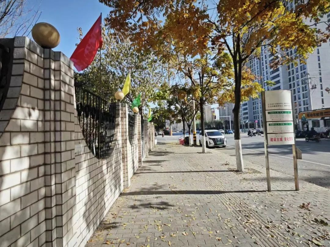 一抹冬日暖陽，照亮你的心房