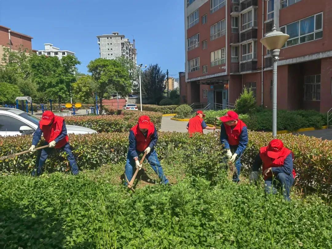 陜鋼集團團委開展“激揚青春之力 奮斗正當其時”紀念“五四”運動105周年系列活動 陜鋼集團團委開展“激揚青春之力 奮斗正當其時”紀念“五四”運動105周年系列活動