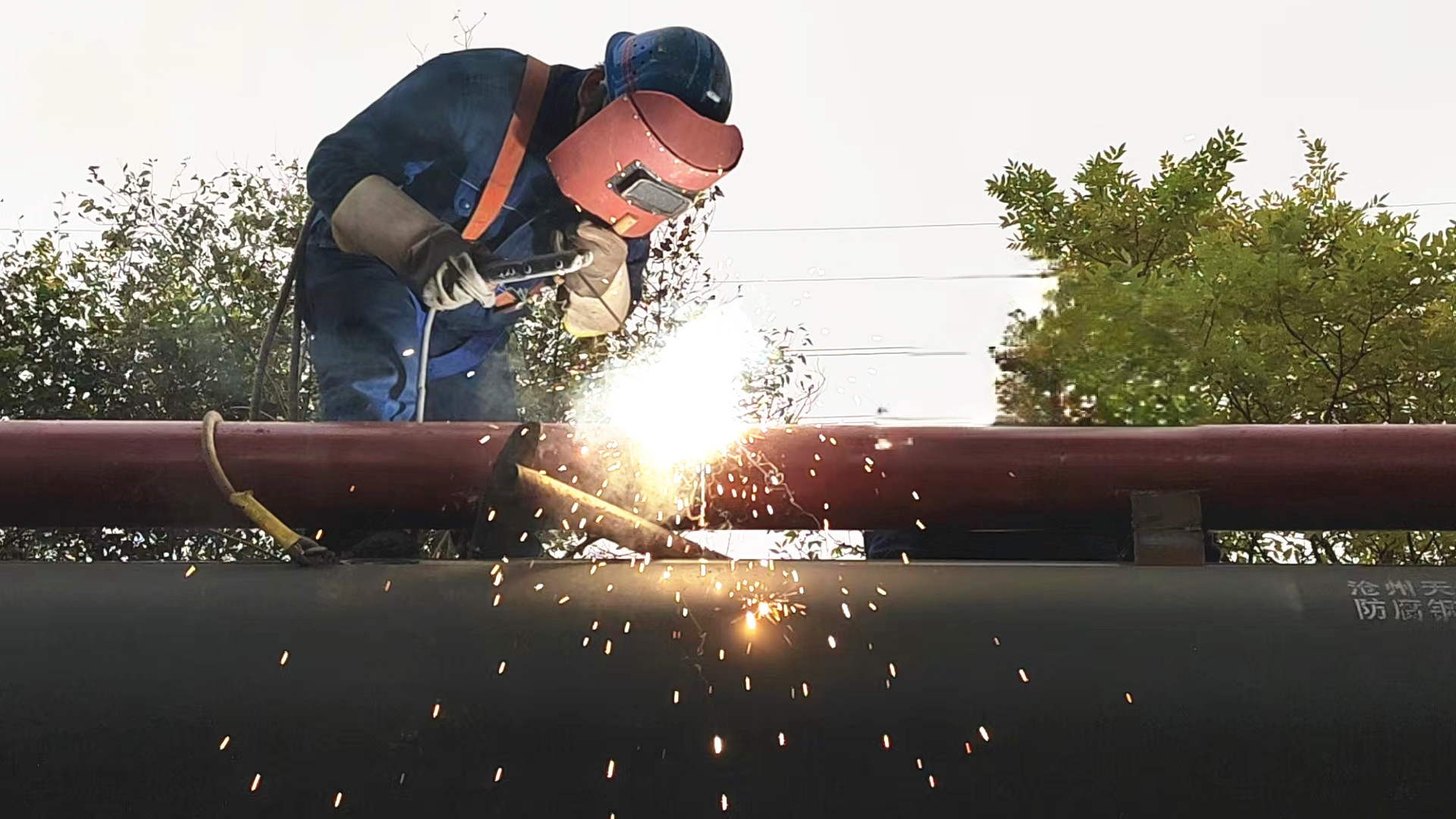 “選育管用”筑牢人才培養新高地 “選育管用”筑牢人才培養新高地