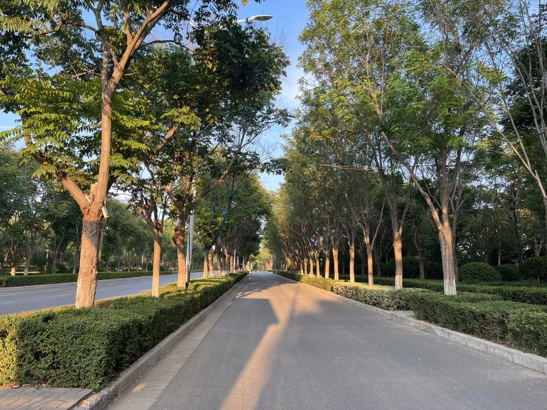 秋日里的慢時(shí)光 秋日里的慢時(shí)光