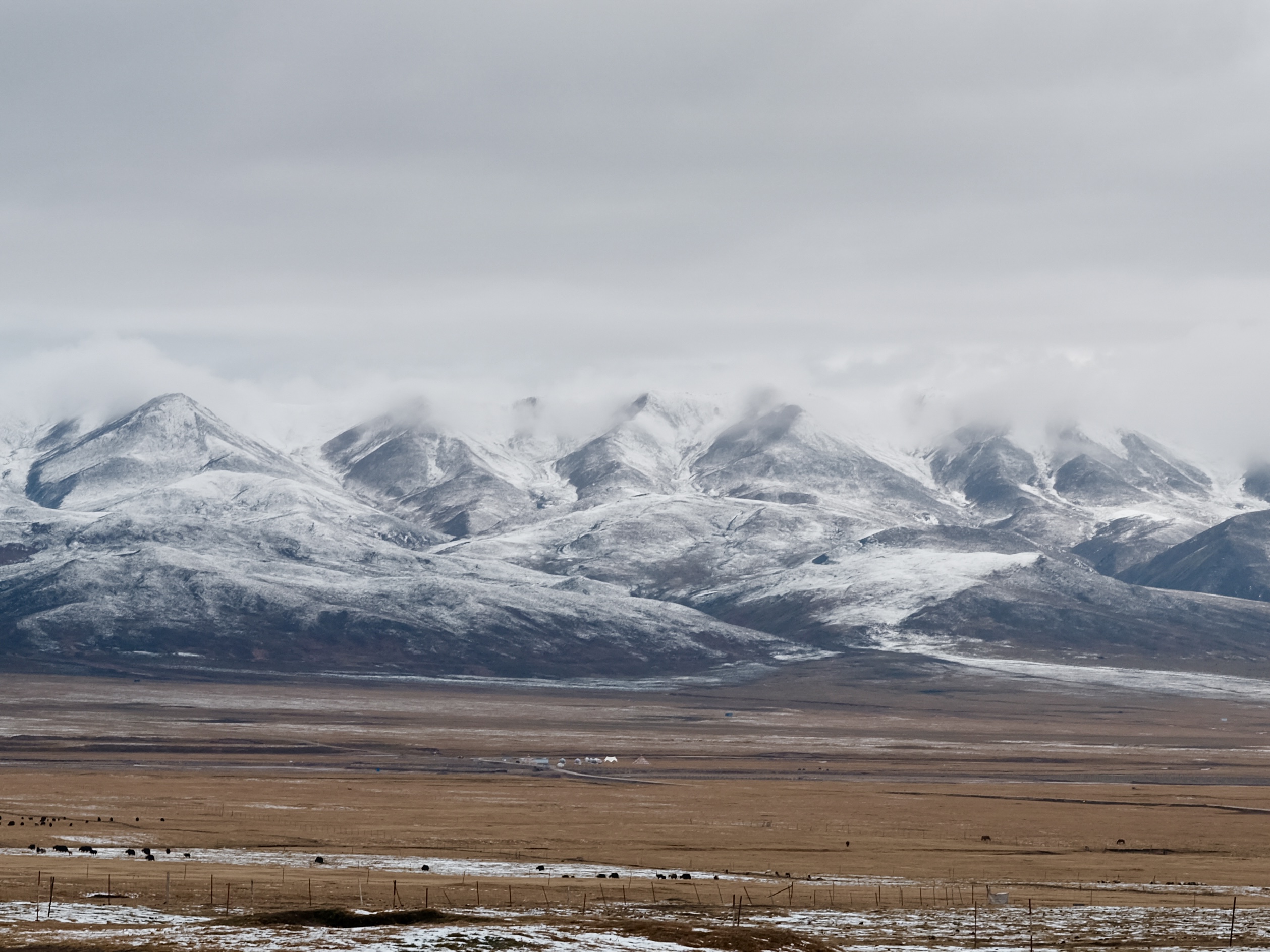 風(fēng)從祁連來 風(fēng)從祁連來